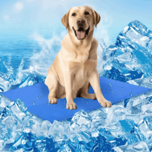 MANTA REFRESCANTE PARA MASCOTAS ESTE VERANO
