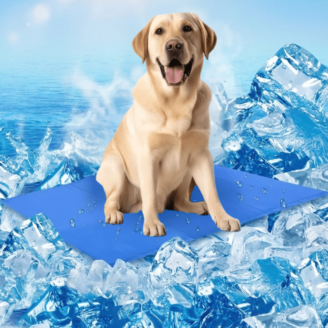MANTA REFRESCANTE PARA MASCOTAS ESTE VERANO