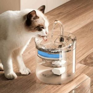 EL DISPENSADOR QUE HACE BEBER 60% MÁS AGUA A TU GATO