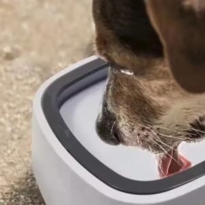 Bebedero Antisplash para Mascotas