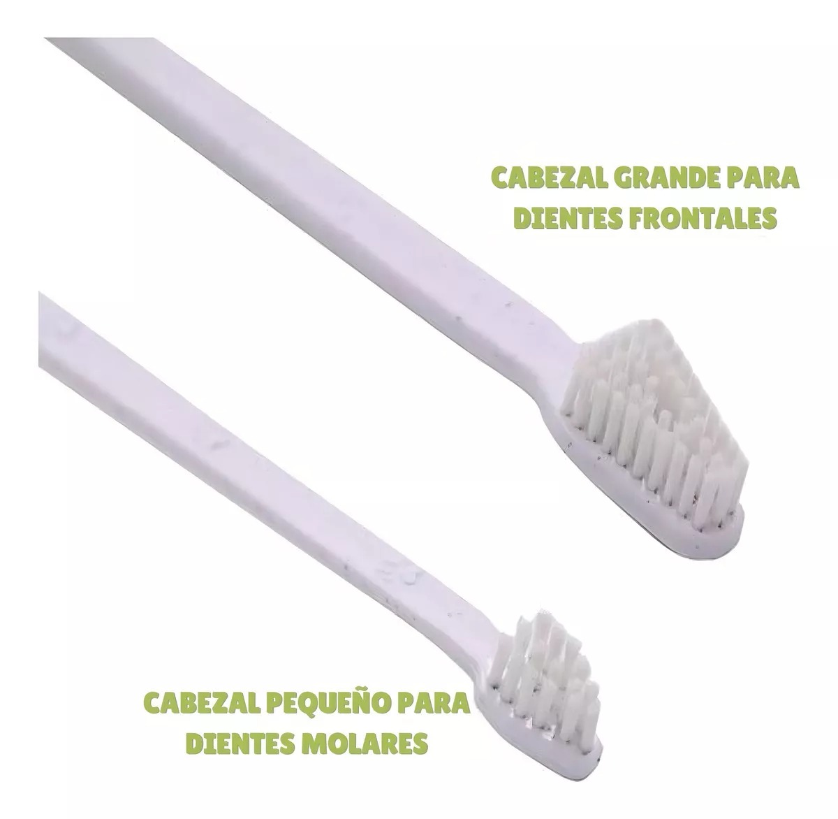 Set Cuidado Dental Bioline Para Perro - Imagen 6