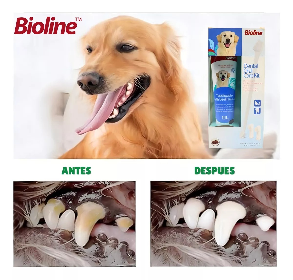 Set Cuidado Dental Bioline Para Perro - Imagen 2