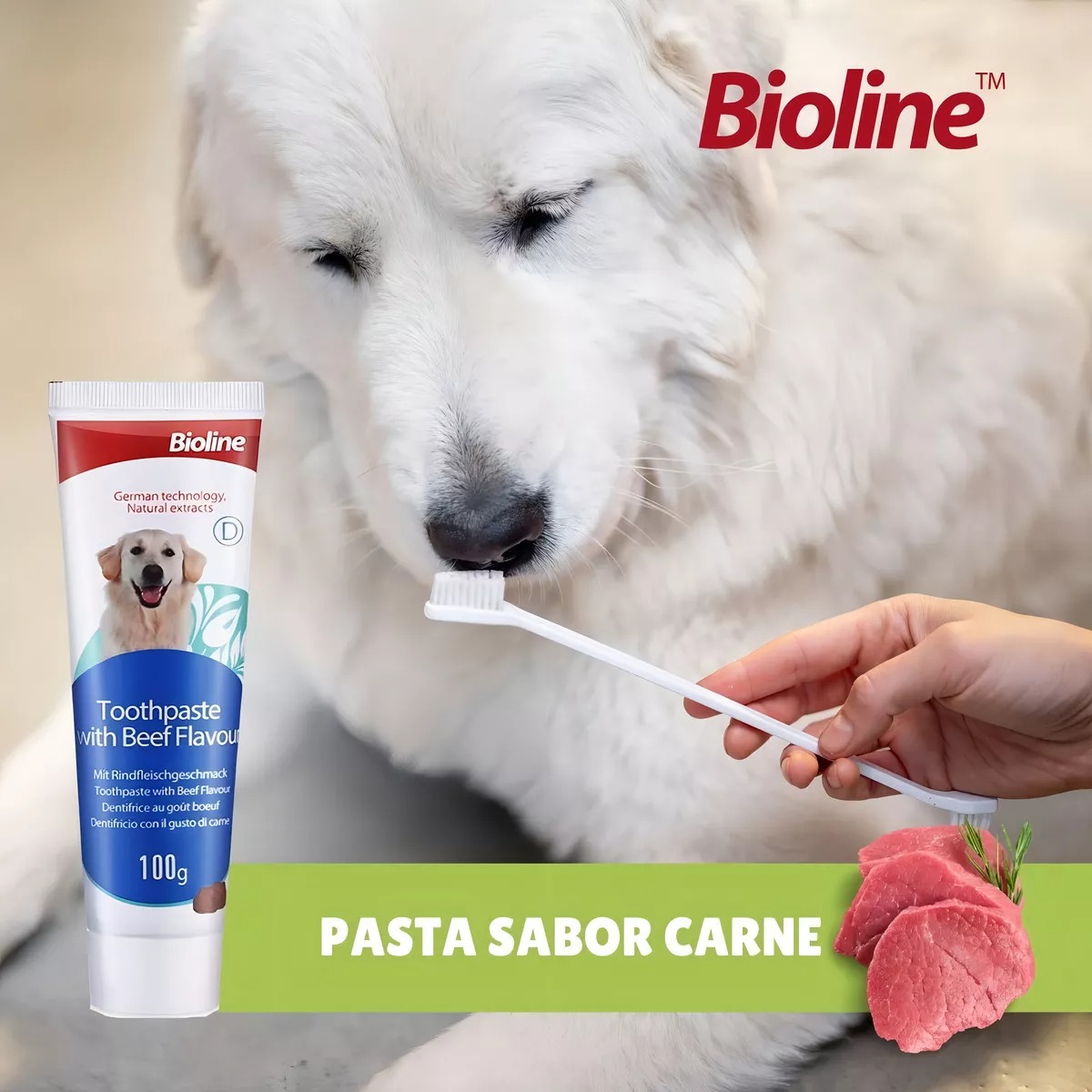 Set Cuidado Dental Bioline Para Perro - Imagen 3