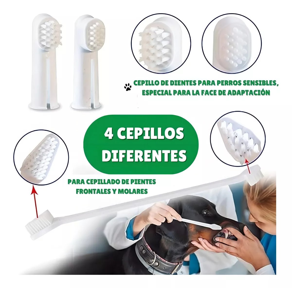Set Cuidado Dental Bioline Para Perro - Imagen 4