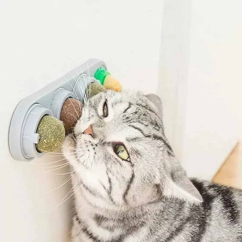 Catnip Para Gatos - Imagen 3