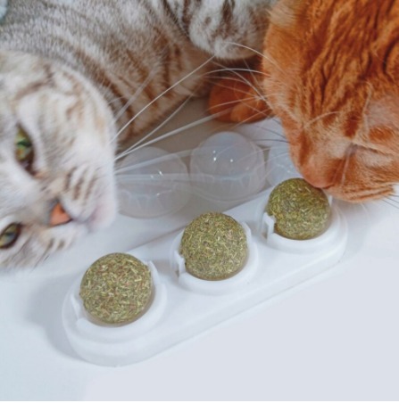 Catnip Para Gatos - Imagen 4