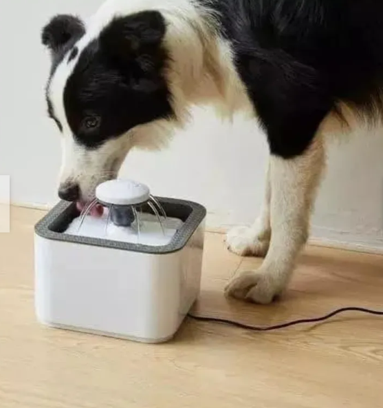 Fuente Agua Mascota 2.5 Litros 220v - Imagen 2