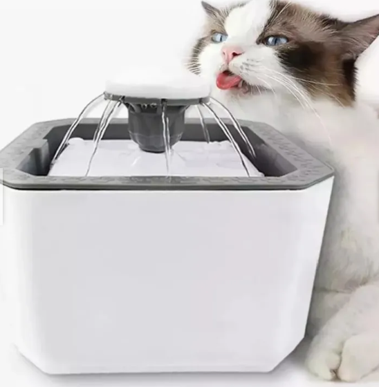 Fuente Agua Mascota 2.5 Litros 220v - Imagen 3