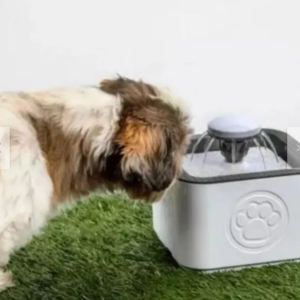 Fuente Agua Mascota 2.5 Litros 220v