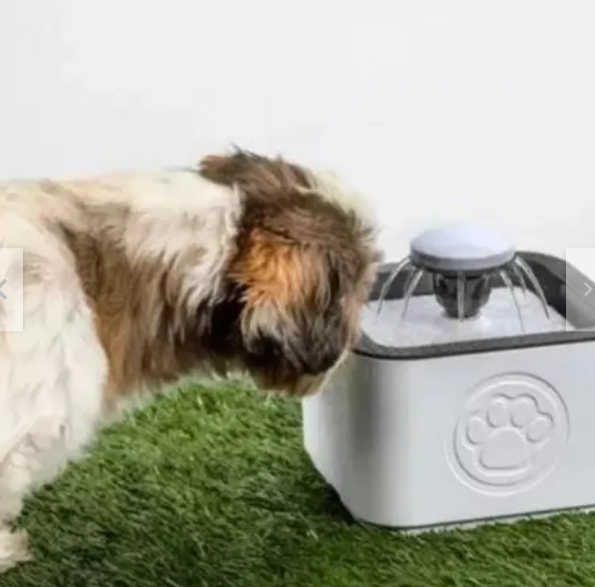Fuente Agua Mascota 2.5 Litros 220v