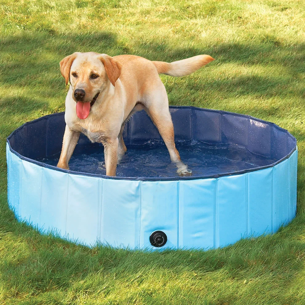 VERANO Piscina Mascotas y niños 80x20 - Imagen 2