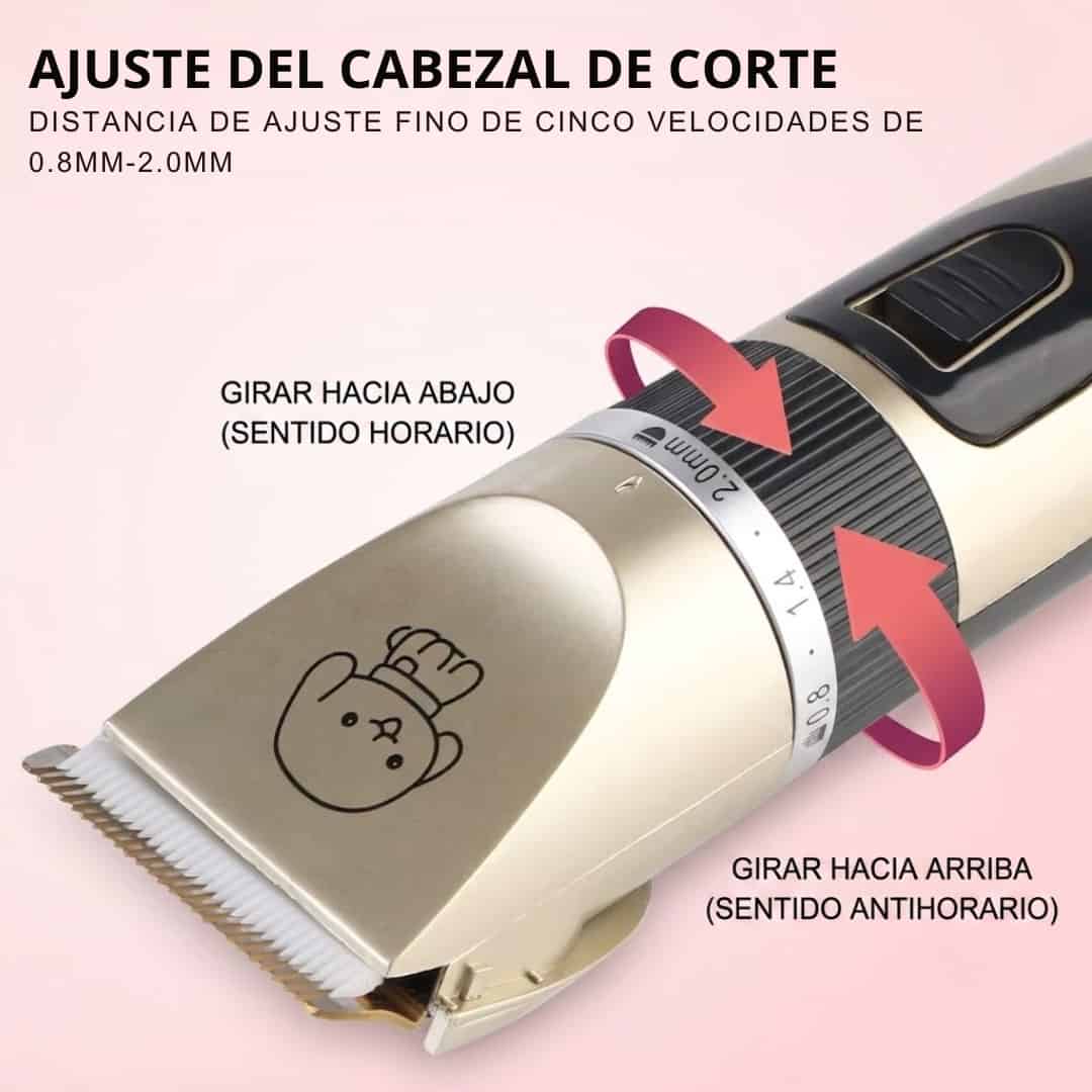 Imagen 2